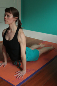 upward dog// hatha yoga