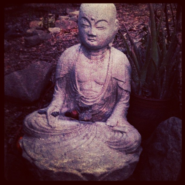 Kelly Sunrose Yoga// Buddha// Reveal Your Sacred Nature