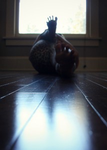 Samadhi Rush// Kelly Sunrose Yoga// Online Yoga Class/ pavanamuktasana