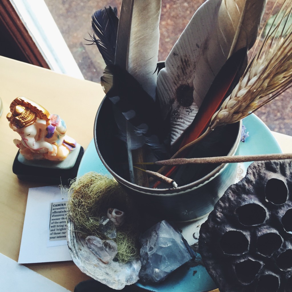 samadhi rush | radical tenderness. wild & serene.